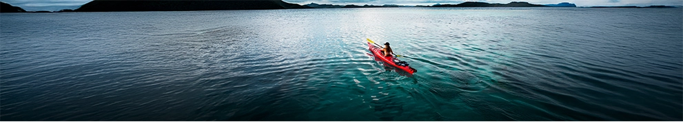 Citi / AAdvantage Platinum Select World Elite Mastercard