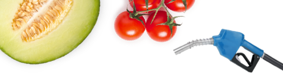 Dillons REWARDS World Mastercard®