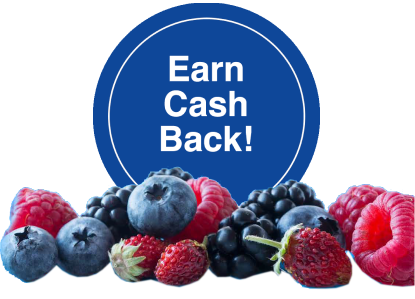 Fred Meyer Rewards® World Elite Mastercard® card art from issuer website